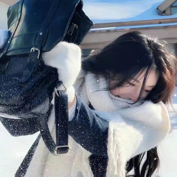 比弗利拜金狗